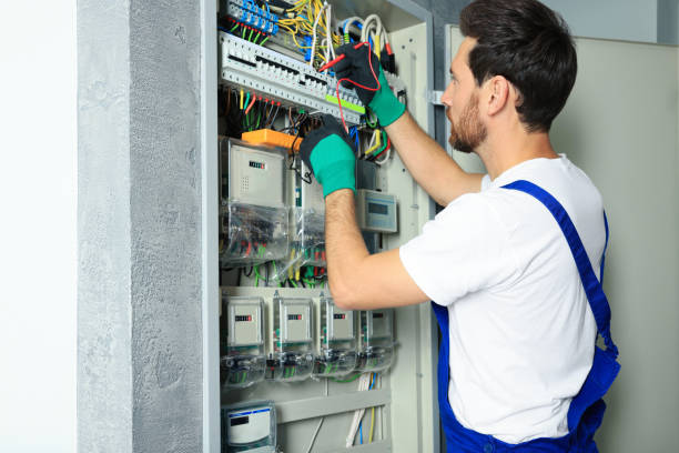 Best Electric Panel Repair  in Struthers, OH